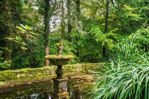 Photo 7- click for photo gallery